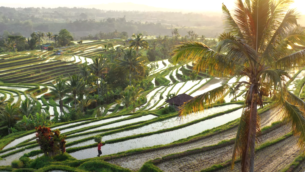 Bali Travel Guide